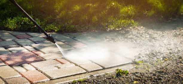 Best Soft Washing  in Wells Branch, TX